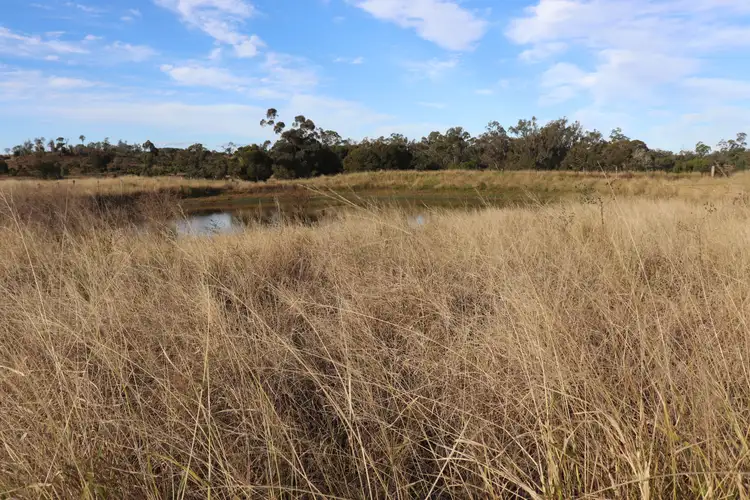 Fifth view of Homely rural property listing, 2415 Proston- Boondooma Road, Brigooda QLD 4613