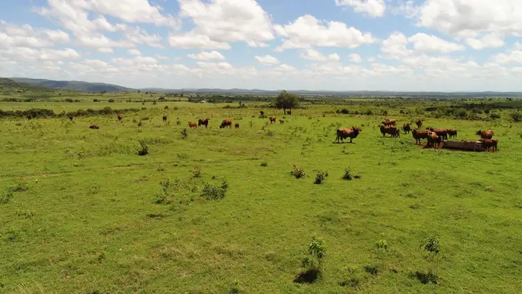 Second view of Homely rural property listing, Address available on request