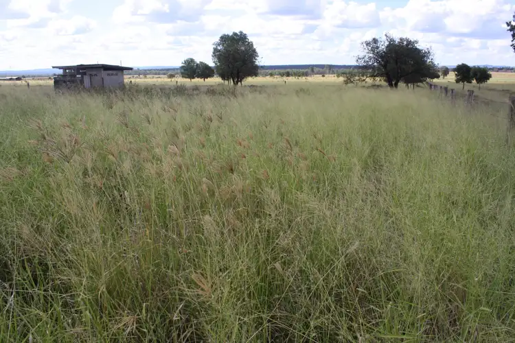 Main view of Homely land listing, 2508 Proston Boondooma Road, Brigooda QLD 4613