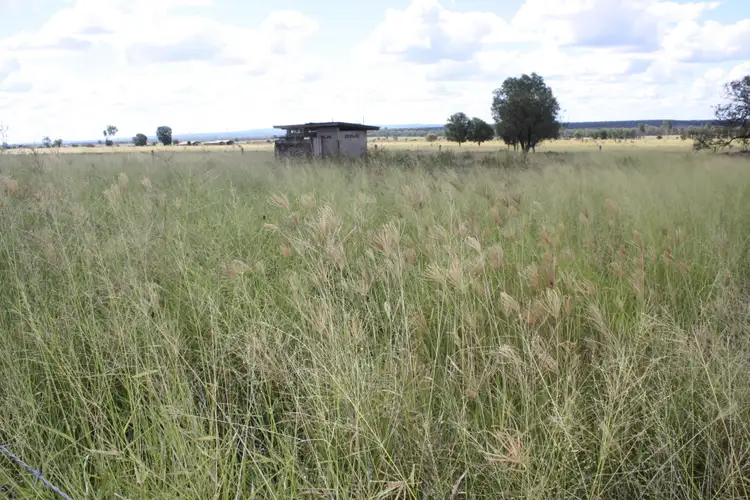 Second view of Homely land listing, 2508 Proston Boondooma Road, Brigooda QLD 4613