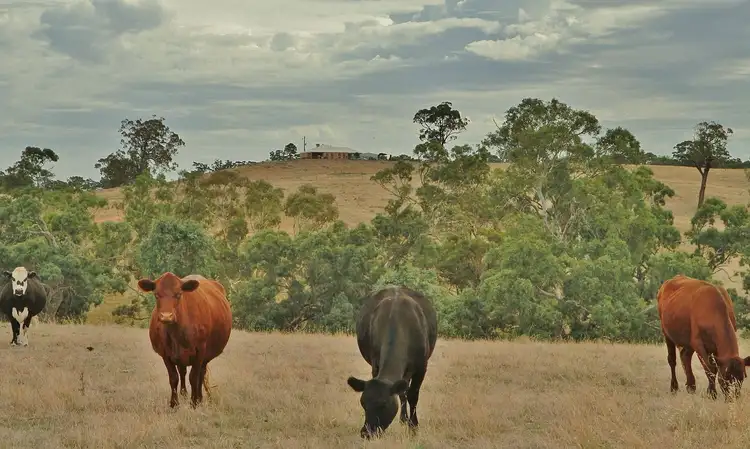 Main view of Homely rural property listing, 410 Mia Mia-Derrinal Road, Heathcote VIC 3523
