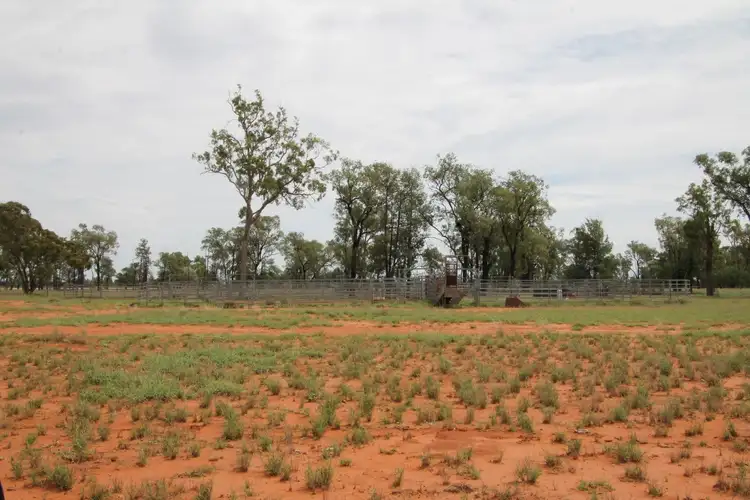 Seventh view of Homely rural property listing, . BALONNE Highway, St George QLD 4487