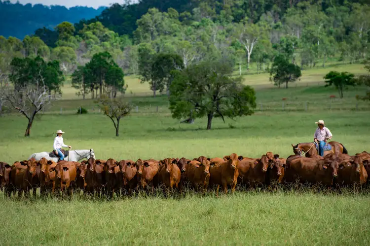 Main view of Homely rural property listing, 3872 Gatton Esk Road, Esk QLD 4312