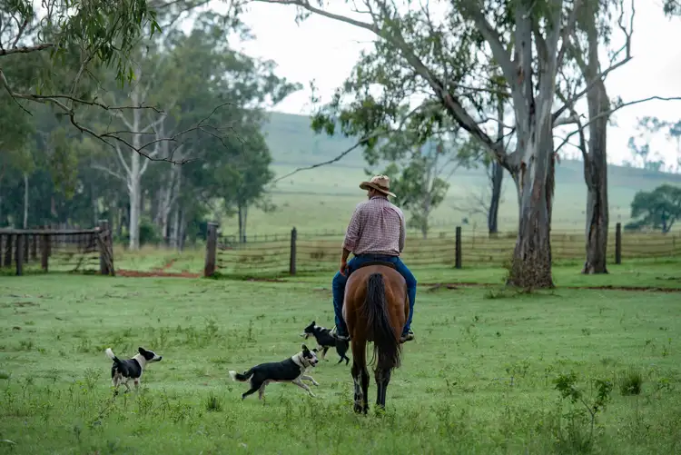 Sixth view of Homely rural property listing, 3872 Gatton Esk Road, Esk QLD 4312
