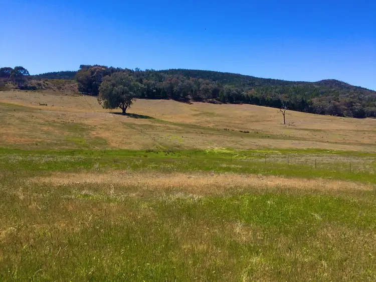 Fourth view of Homely rural property listing, Lot 7 Part 'Lowanna' Frying Pan Gully Road, Cowra NSW 2794
