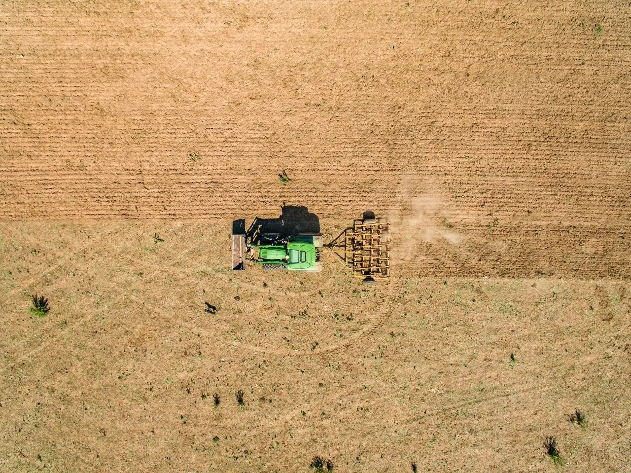 Main view of Homely rural property listing, Lot 2 Fragar Road, Cowra NSW 2794