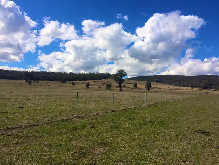Fifth view of Homely rural property listing, Lot 2 Fragar Road, Cowra NSW 2794