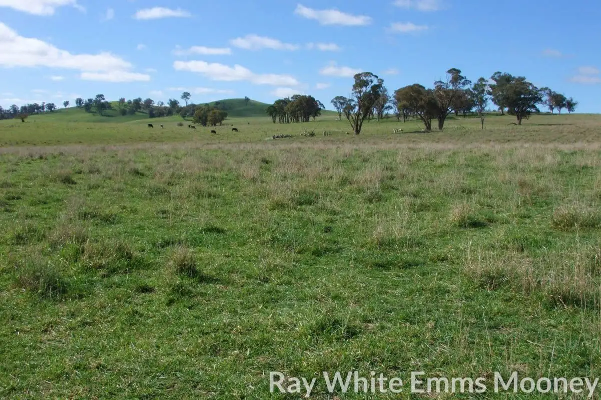 Main view of Homely rural property listing, Address available on request