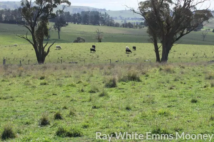 Fourth view of Homely rural property listing, Address available on request