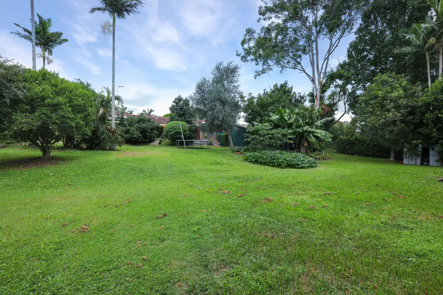 Main view of Homely house listing, 40 KOOLA Drive, Nerang QLD 4211