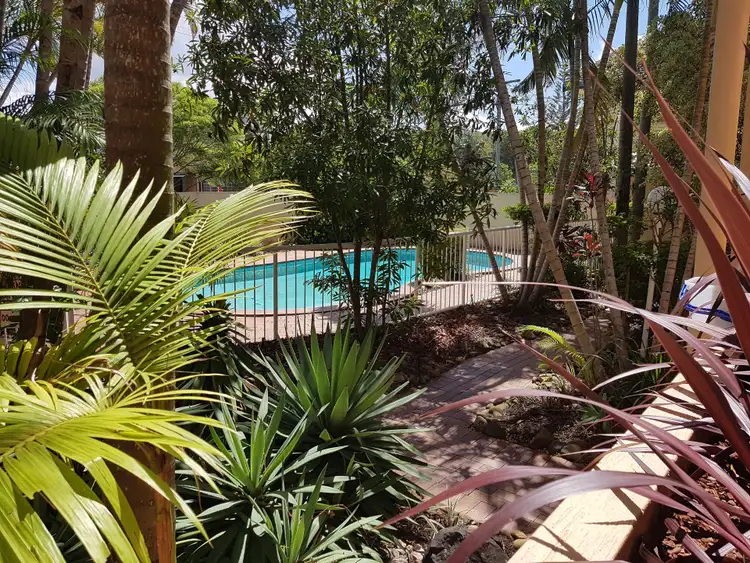 Fifth view of Homely unit listing, 3/85 Petrel Avenue, Mermaid Beach QLD 4218