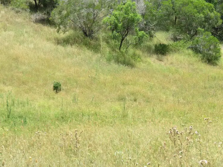 Third view of Homely rural property listing, 312 Eisenmengers Road, SunnyNook, Murgon QLD 4605