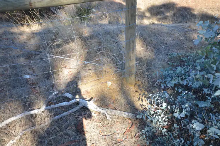 Seventh view of Homely land listing, 115 Halls Road, Talbot VIC 3371