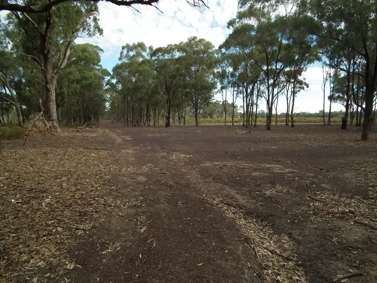 Second view of Homely rural property listing, 419 Buffalo Swamp Road, Whroo VIC 3612