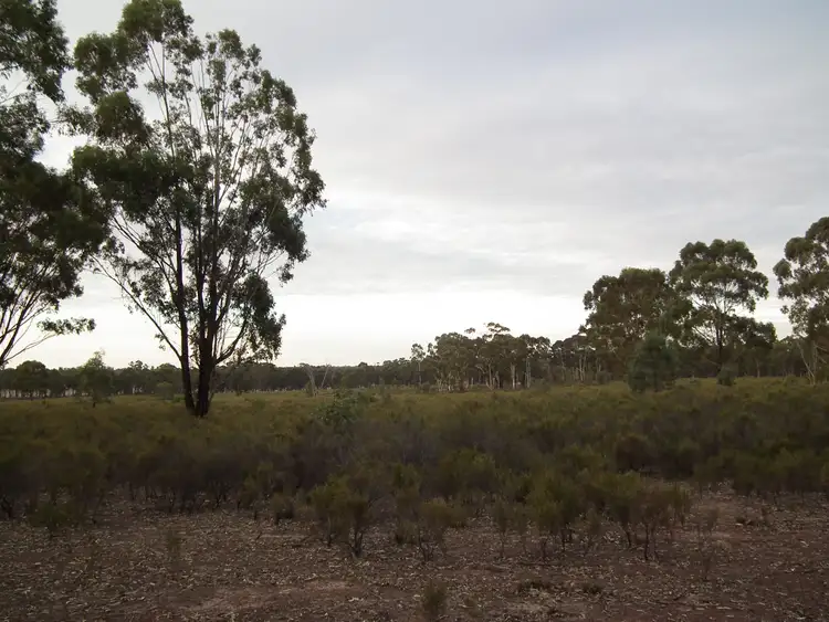Third view of Homely rural property listing, 419 Buffalo Swamp Road, Whroo VIC 3612