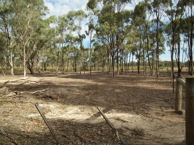 Fifth view of Homely rural property listing, 419 Buffalo Swamp Road, Whroo VIC 3612