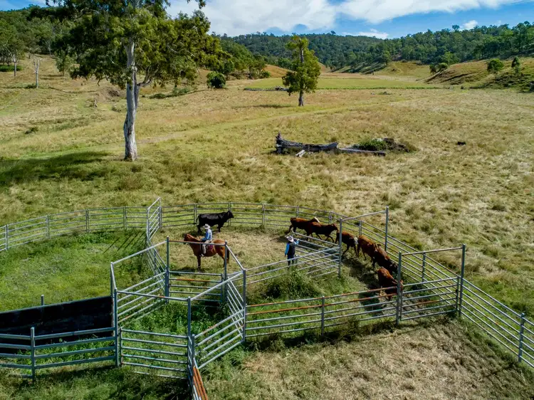 Third view of Homely rural property listing, 8980 D'Aguilar Highway, Moore QLD 4314
