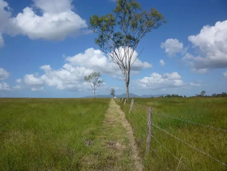 Fifth view of Homely rural property listing, Lot 84 Sheehan Road, Alton Downs QLD 4702
