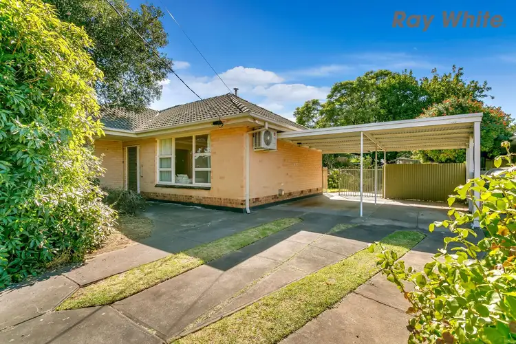 Main view of Homely house listing, 29 Oakleigh Road, Marion SA 5043