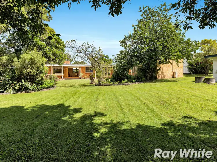 Seventh view of Homely rural property listing, 415 Robinson Road West, Geebung QLD 4034