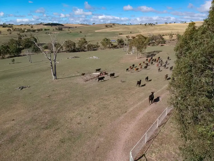 Sixth view of Homely rural property listing, 370 Bloom Hill Road, O'connell NSW 2795