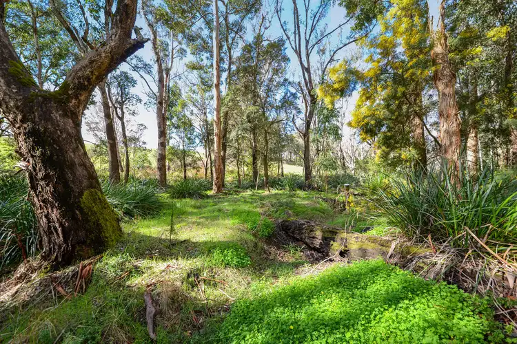 Second view of Homely rural property listing, Lot 102 East Nannup Road, Nannup WA 6275