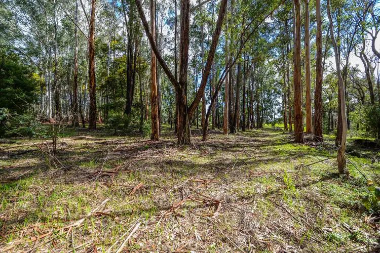 Sixth view of Homely rural property listing, Lot 102 East Nannup Road, Nannup WA 6275