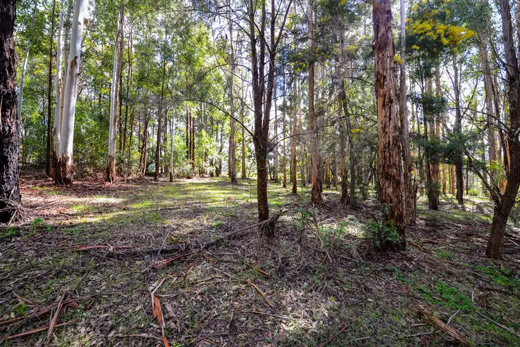 Seventh view of Homely rural property listing, Lot 102 East Nannup Road, Nannup WA 6275