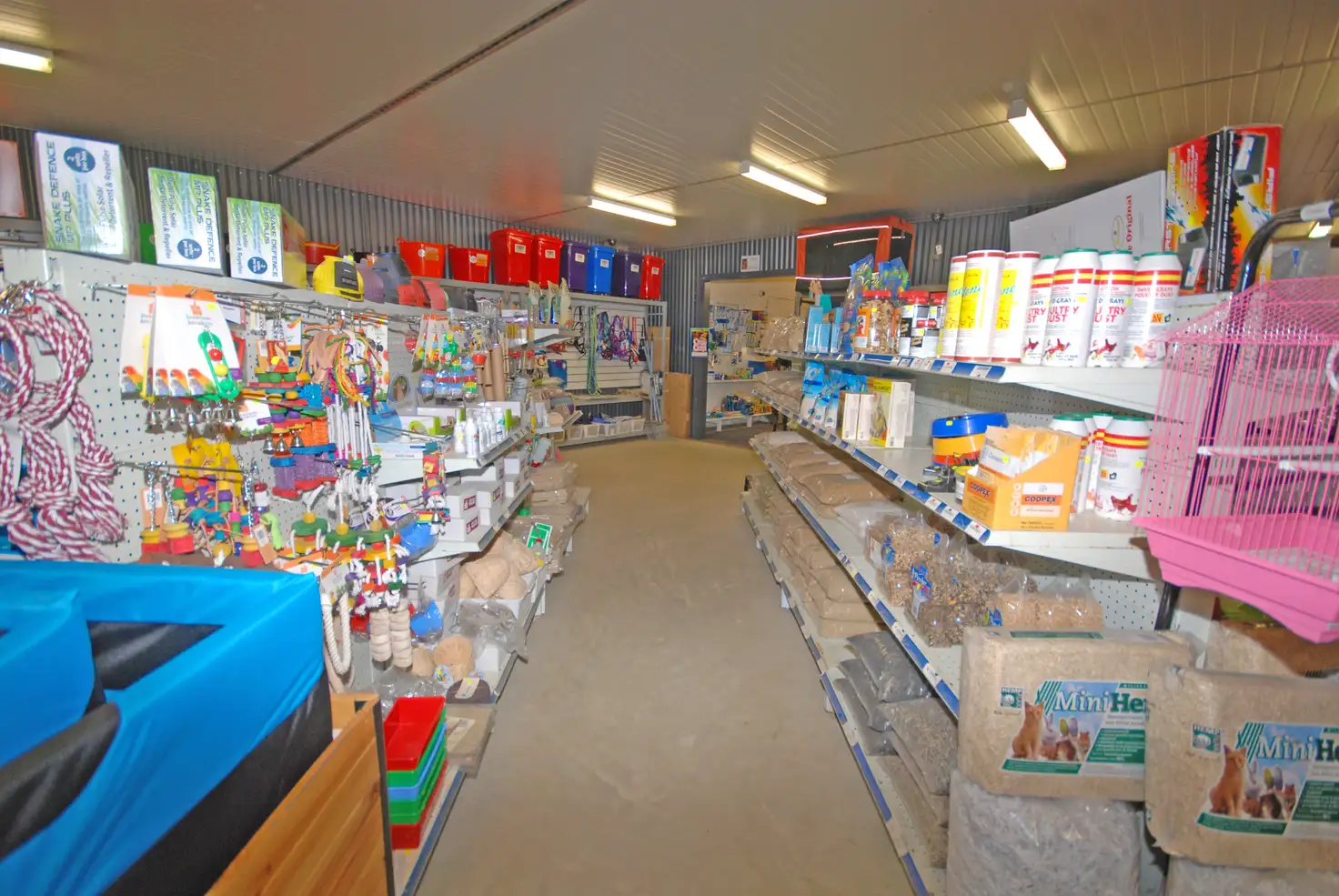 Main view of Homely house listing, 175 Federal Street, Narrogin WA 6312