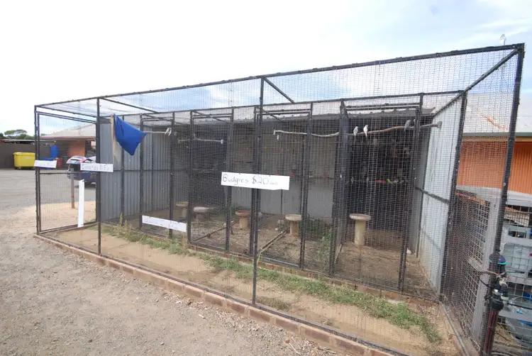 Fifth view of Homely house listing, 175 Federal Street, Narrogin WA 6312