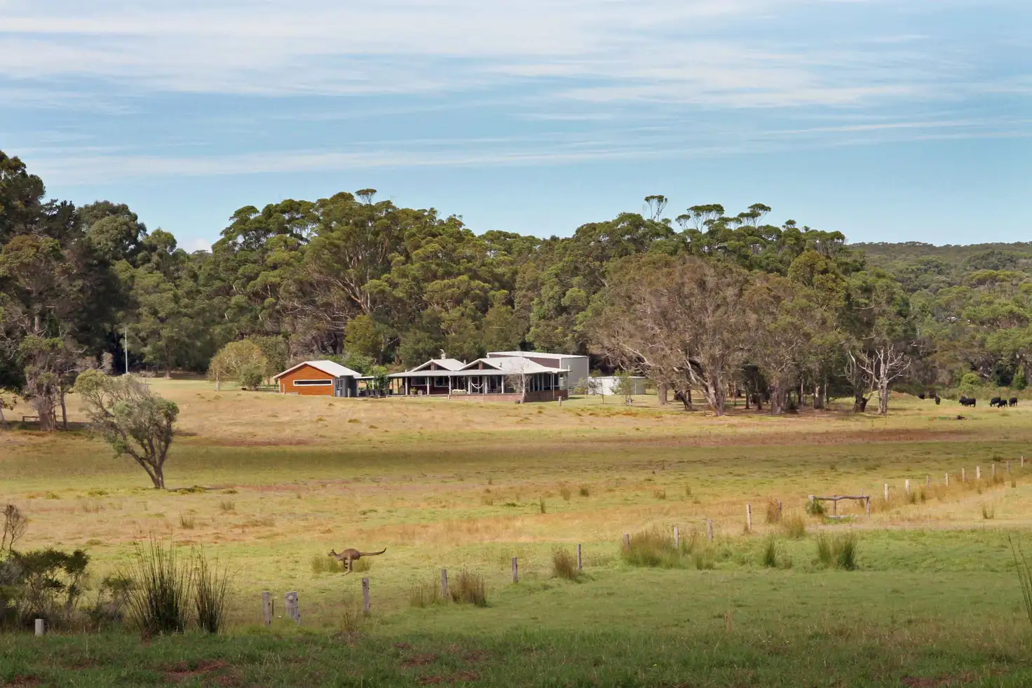 Main view of Homely rural property listing, 6515 South Coast Highway, Nornalup WA 6333