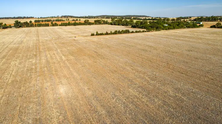 Seventh view of Homely rural property listing, 1843 Millwood Road, Coolamon NSW 2701