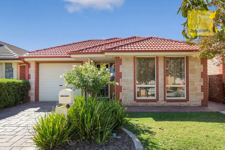 14 Pritchard Court, Camden Park SA 5038