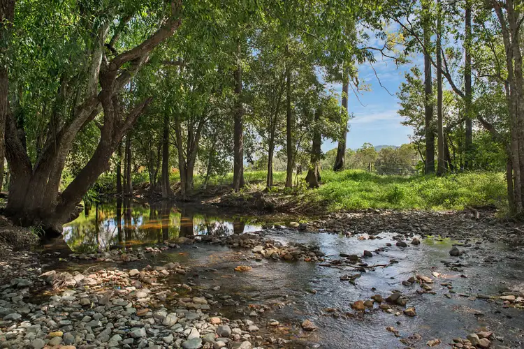 Seventh view of Homely rural property listing, 130 Aherns Road, Conondale QLD 4552