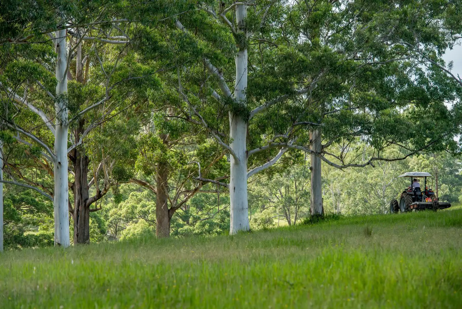 Main view of Homely house listing, 17 Florence Lane, Mount Mee QLD 4521