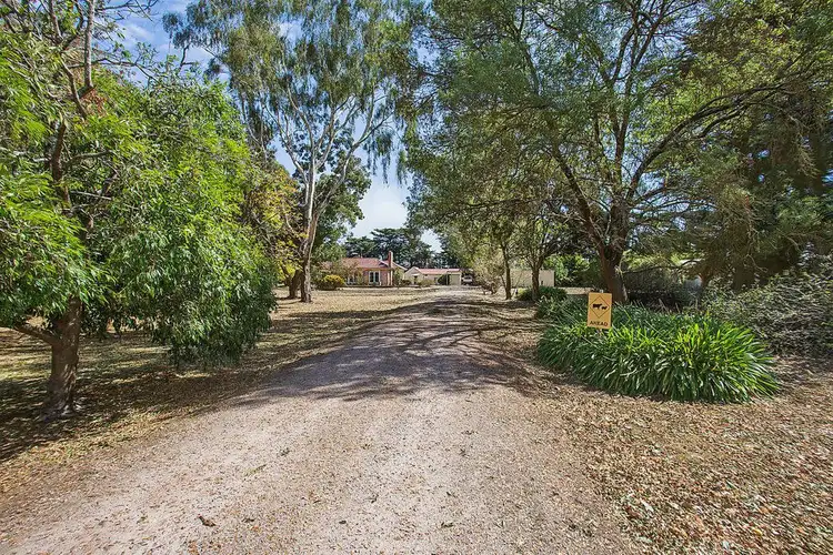 Second view of Homely house listing, 509 Cobden Terang Road, Cobden VIC 3266