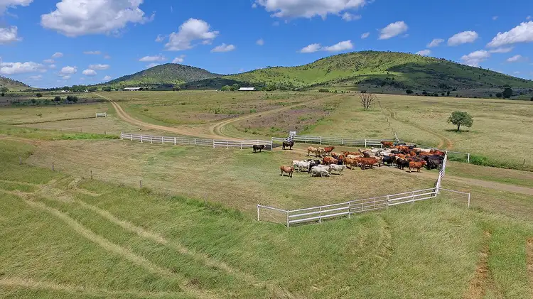 Second view of Homely rural property listing, "Comanche"1820 Comanche Road, Glenroy QLD 4702