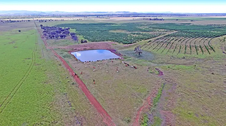 Third view of Homely rural property listing, "Comanche"1820 Comanche Road, Glenroy QLD 4702