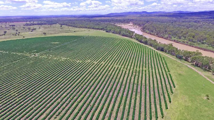 Sixth view of Homely rural property listing, "Comanche"1820 Comanche Road, Glenroy QLD 4702
