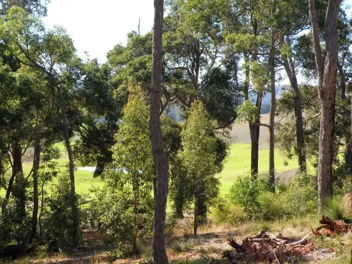 Main view of Homely land listing, 15 Widdeson Street, Nannup WA 6275