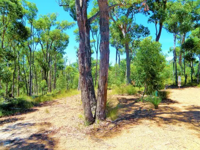 Second view of Homely land listing, 15 Widdeson Street, Nannup WA 6275