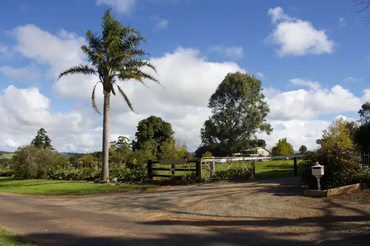 Second view of Homely rural property listing, 621 Old Coast Road, Dorrigo NSW 2453