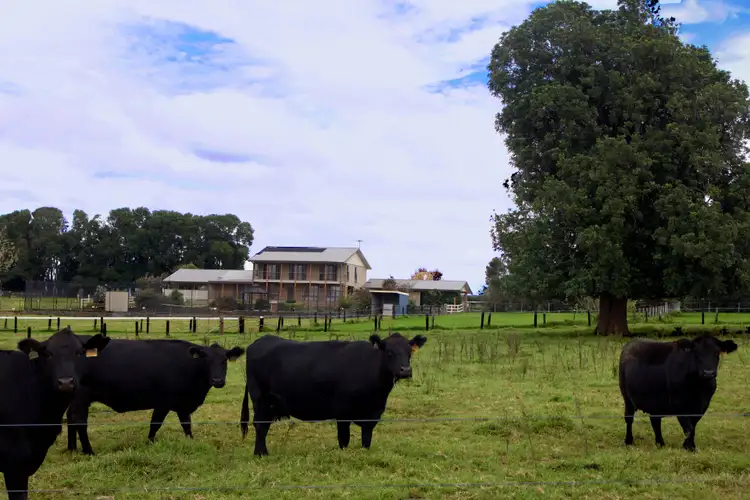 Third view of Homely rural property listing, 621 Old Coast Road, Dorrigo NSW 2453