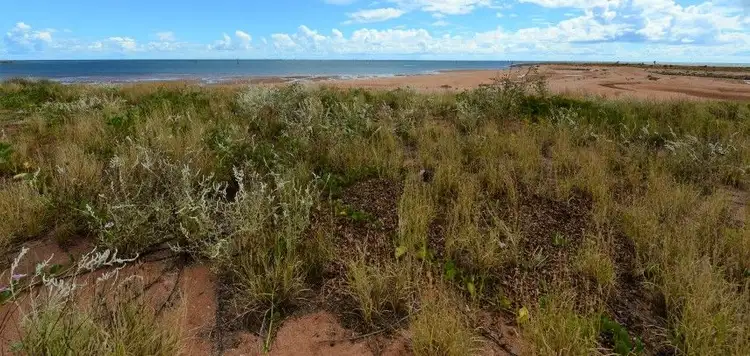 75 Kingsmill Street, Port Hedland WA 6721