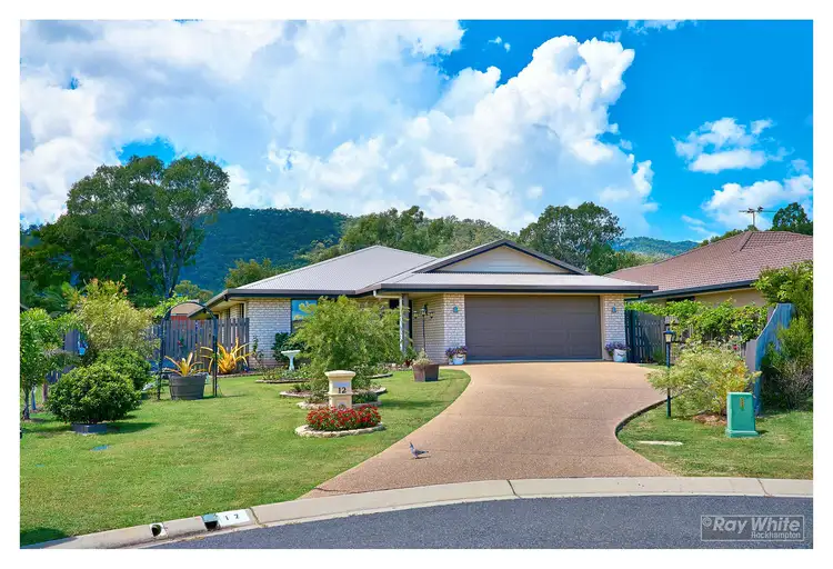 12 Red Penda Court, Norman Gardens QLD 4701