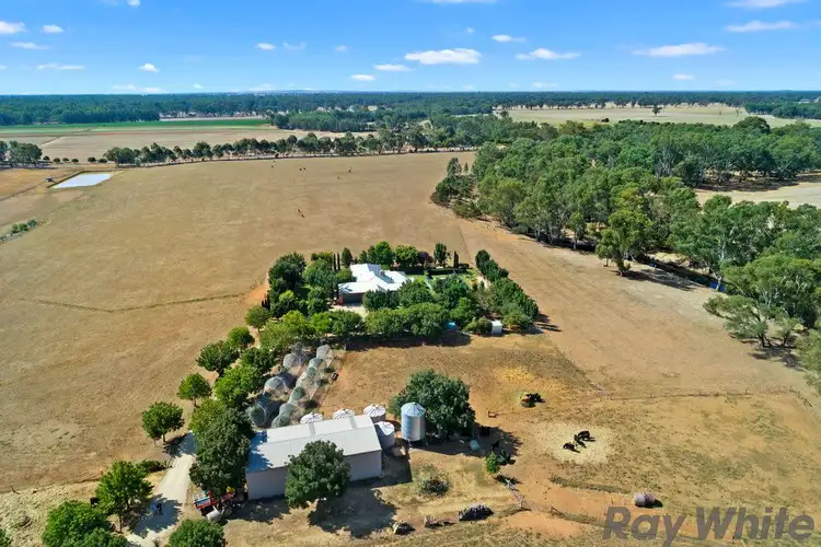 Main view of Homely house listing, 194 Raitts Road, Rutherglen VIC 3685