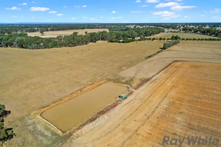 Fifth view of Homely house listing, 194 Raitts Road, Rutherglen VIC 3685