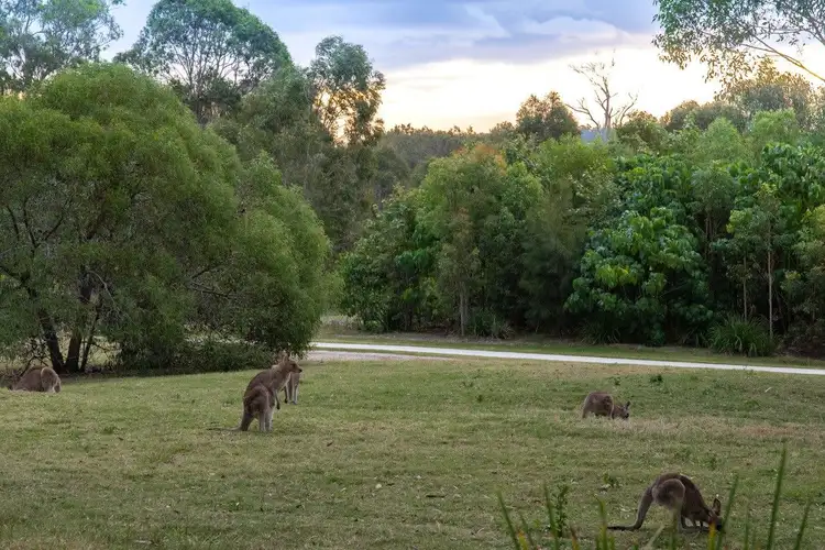 Second view of Homely house listing, 40 Christina Ryan Way, Arundel QLD 4214