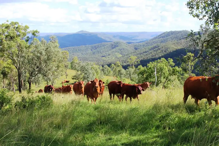 Third view of Homely rural property listing, Lot 1 Wells Station Road, Biarra QLD 4313