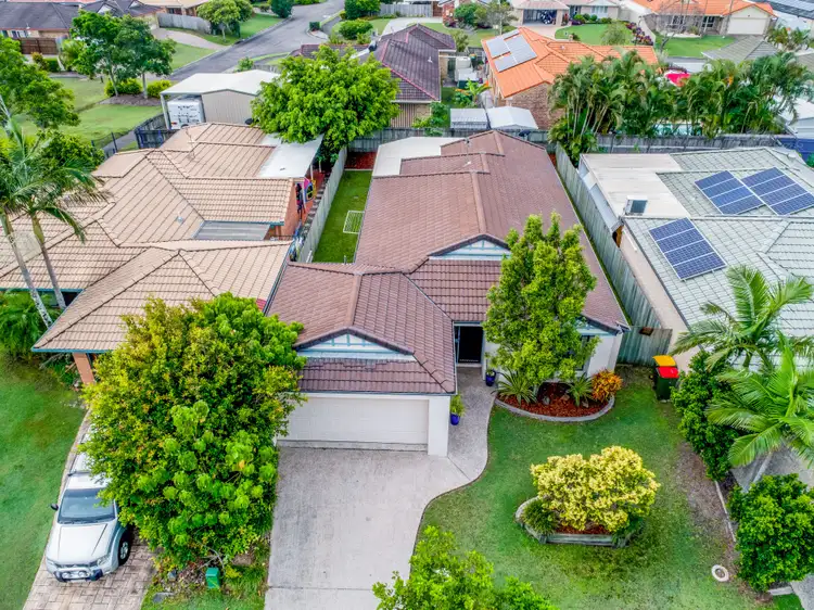 3 Carib Court, Mountain Creek QLD 4557